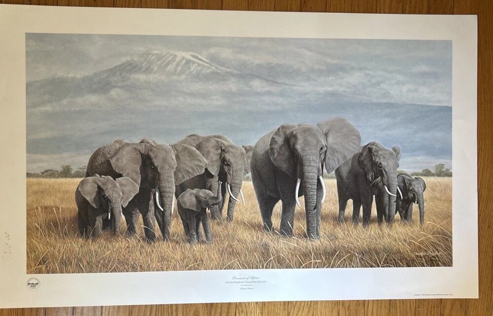 Charles Frace Print Elephants “Treasure Of Africa” 18 x 33 Signed & Numbered